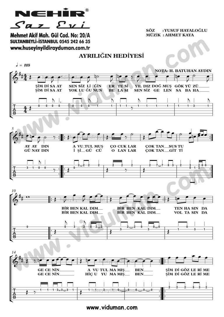 Ayriligin Hediyesi_1-Ahmet Kaya-Gitar Tab-Solo Notalari