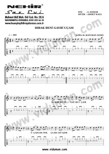 Birak Beni Gayri Ucam_1-Ahmet Kaya-Gitar Tab-Solo Notalari