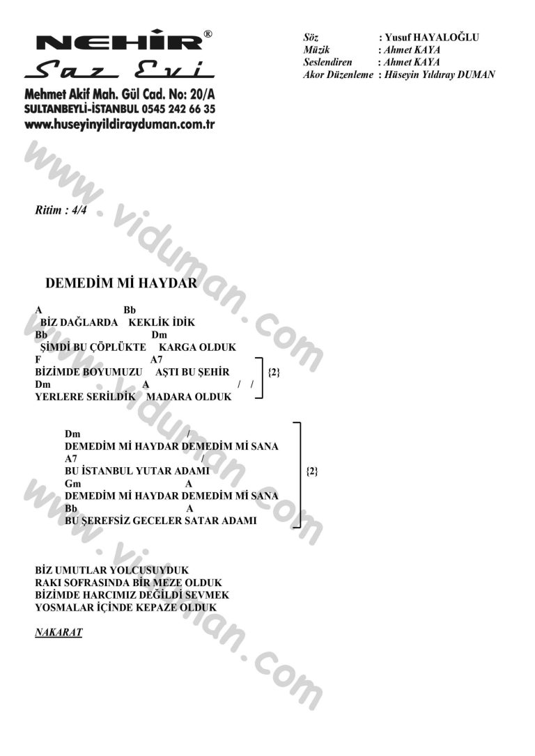 Demedim Mi Haydar-Ahmet Kaya-Ritim-Gitar-Akorlari