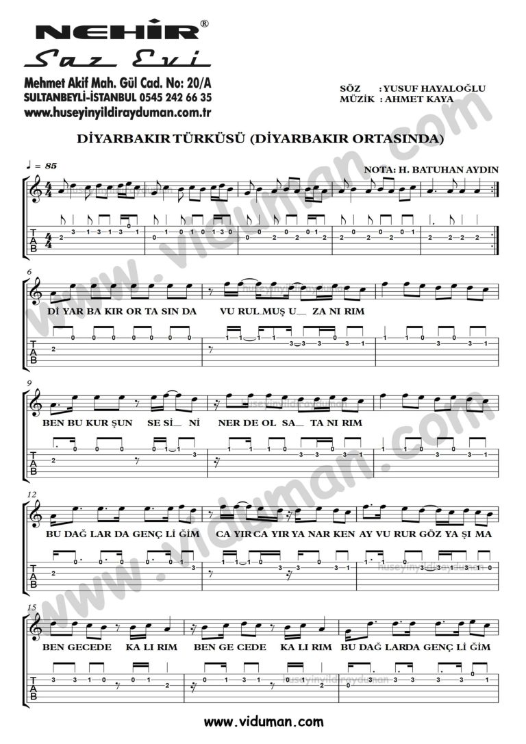 Diyarbakir Turkusu (Diyarbakir Ortasinda)_1-Ahmet Kaya-Gitar Tab-Solo Notalari