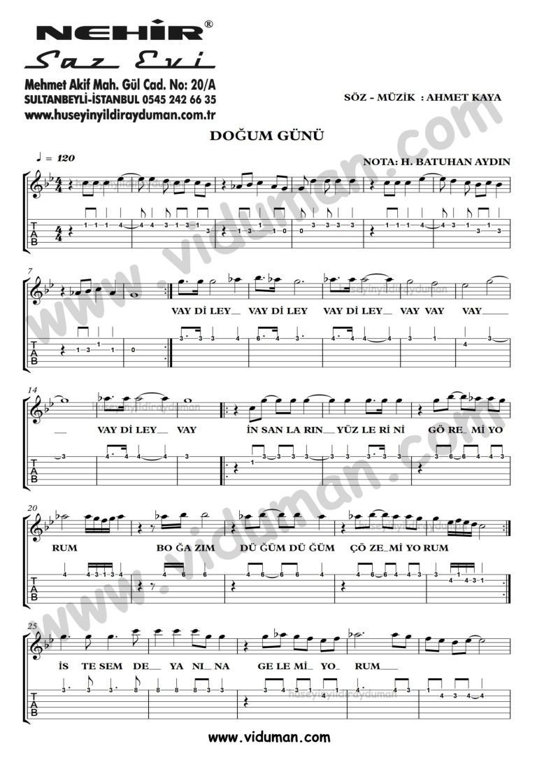 Dogum Gunu_1-Ahmet Kaya-Gitar Tab-Solo Notalari