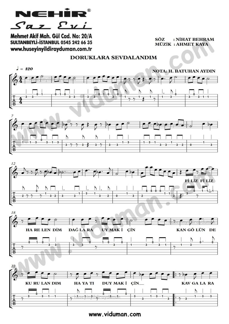 Doruklara Sevdalandim_1-Ahmet Kaya-Gitar Tab-Solo Notalari