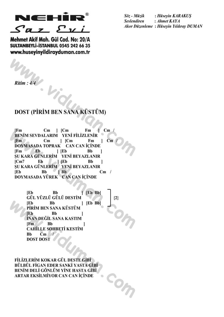 Dost _Pirim Ben Sana Kustum_-Ahmet Kaya-Ritim-Gitar-Akorlari