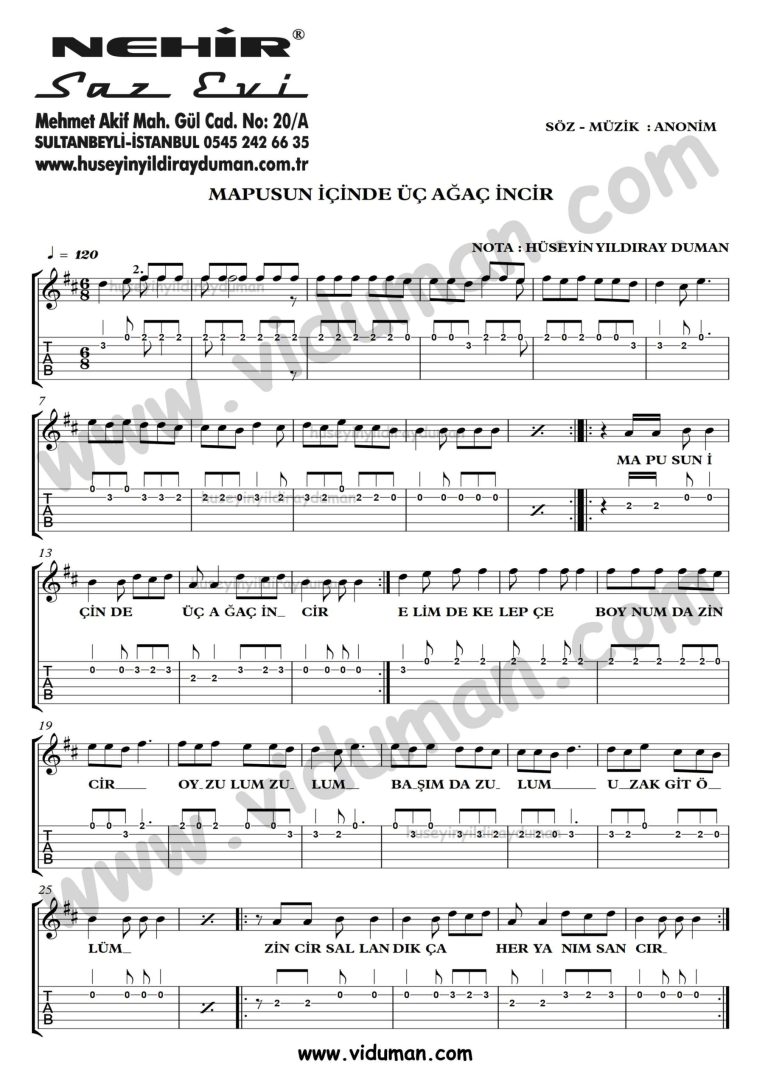 Mapusun Icinde Uc Agac Incir_1-Ahmet Kaya-Gitar Tab-Solo Notalari
