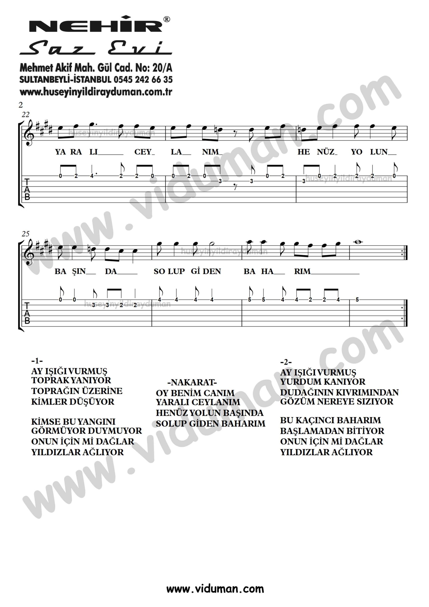 Oy Benim Canim_2-Ahmet Kaya-Gitar Tab-Solo Notalari
