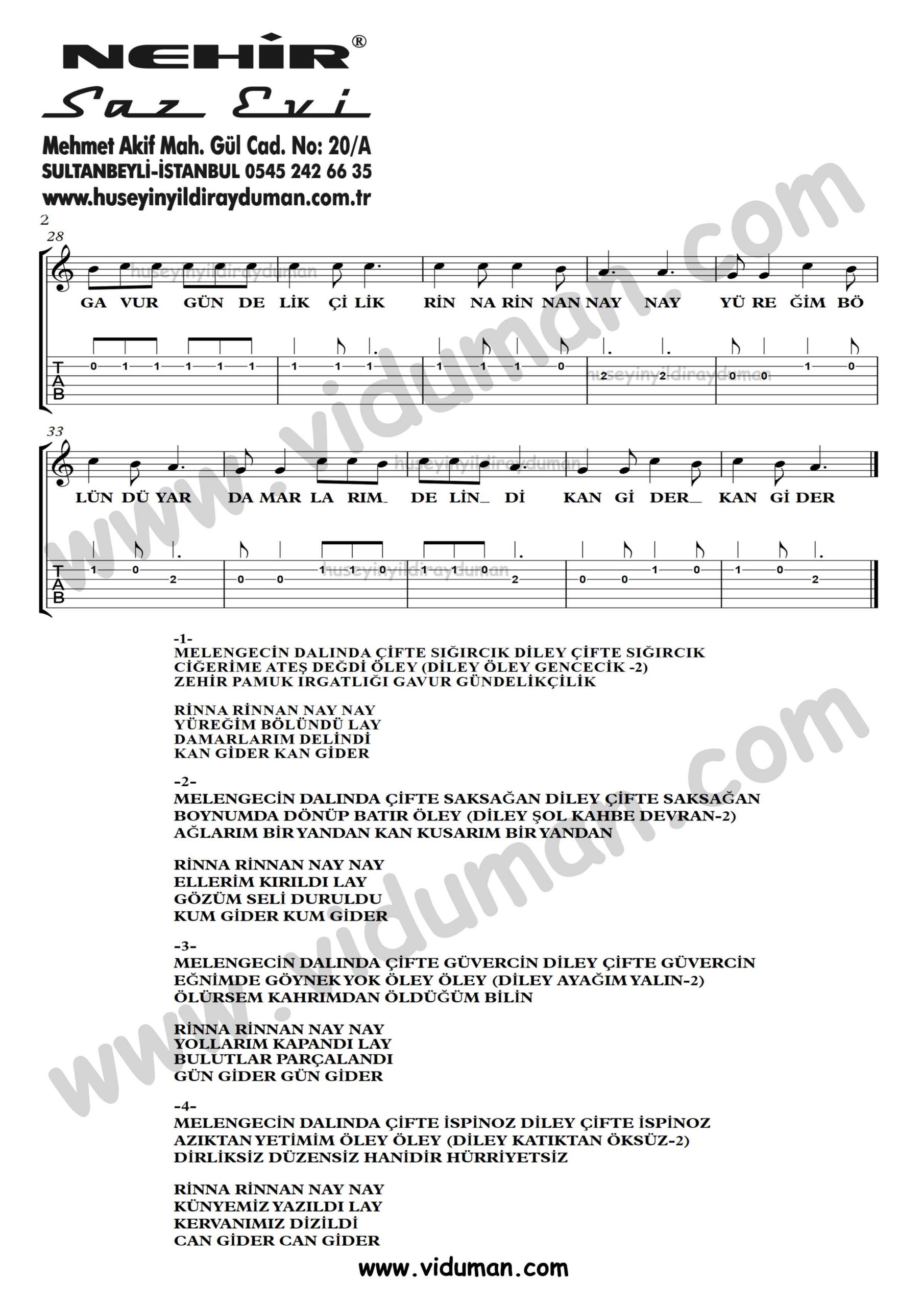 Rinna Rinnan Nay_2-Ahmet Kaya-Gitar Tab-Solo Notalari