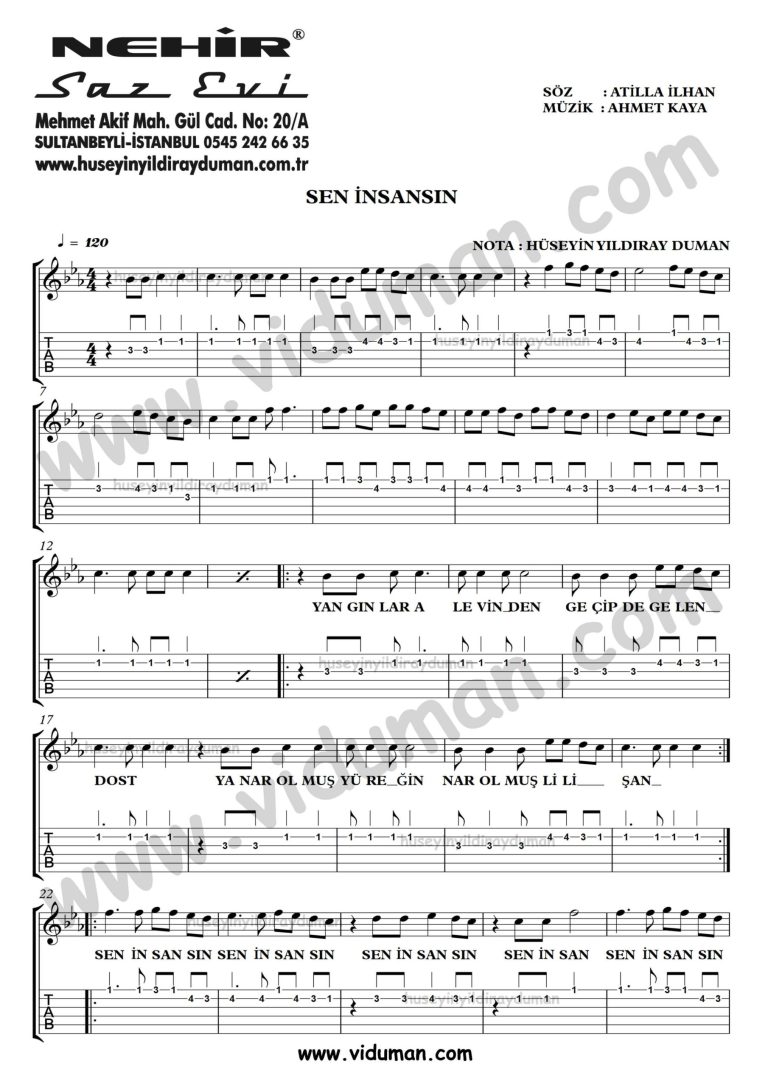 Sen Insansin_1-Ahmet Kaya-Gitar Tab-Solo Notalari
