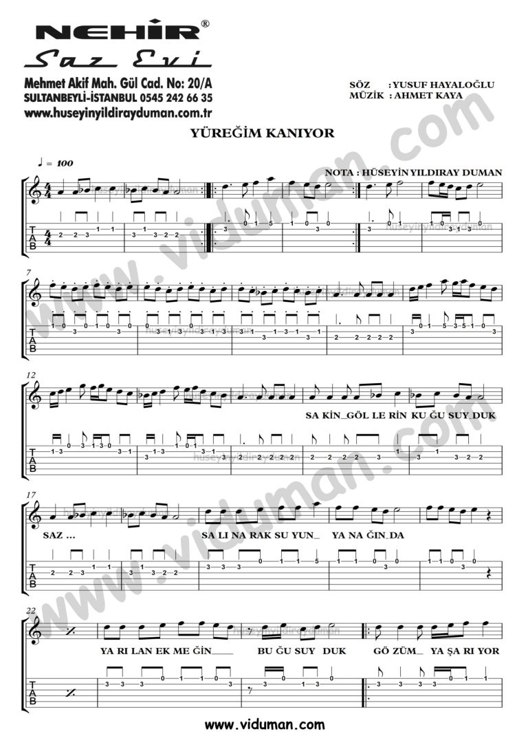 Yuregim Kaniyor_1-Ahmet Kaya-Gitar Tab-Solo Notalari