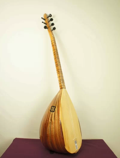 kisa_sap_saz_maun_vidumans_VDMS02_2