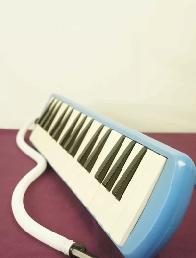 melodika_kaliteli_32_tuslu_legend_ME32_8