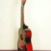 ukulele_cocuk_gitari_fiyati_MG50_2