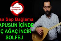 Mapusun İçinde Üç Ağaç İncir Solfej – Kısa Sap Bağlama